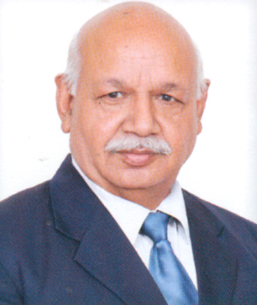 Sh. Shakti Kumar Jain - Vice President